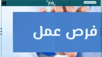63 شركة جديدة.. فرص عمل متجددة في 13 محافظة مع التخصصات وطريقة التقديم المفصلة